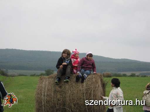 20101002-Szkgy-vtt-hajnacso-012.JPG