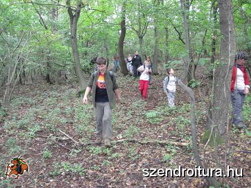 20101002-Szkgy-vtt-kenus-07.jpg