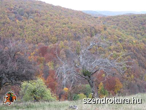 20101023-Nosztalgia-tura-Ferivel-9.jpg