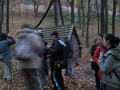 20101023-Nosztalgia-tura-Ferivel-12