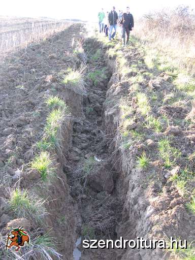 20101113-Fosuli-nov-tura-13.jpg