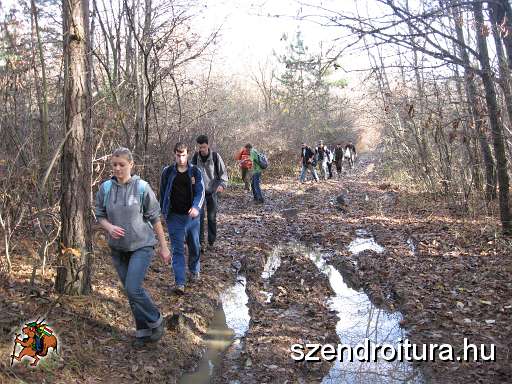 20101113-Fosuli-nov-tura-9.jpg
