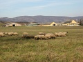 20101113-Fosuli-nov-tura-2