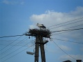 6-vitezlo-2011-banyato-abod-45
