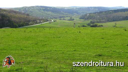 6-vitezlo-2011-barta-laszlo-12.JPG