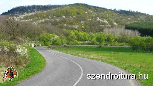 6-vitezlo-2011-barta-laszlo-13.JPG
