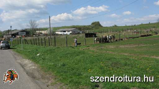 6-vitezlo-2011-barta-laszlo-15.JPG