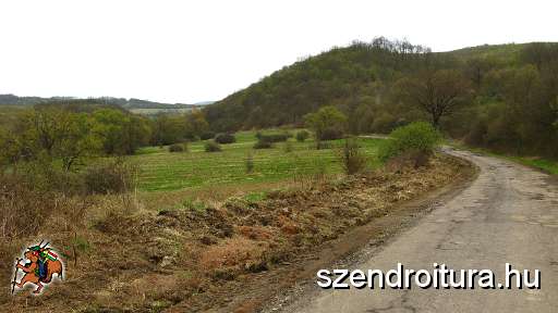 6-vitezlo-2011-barta-laszlo-41.JPG