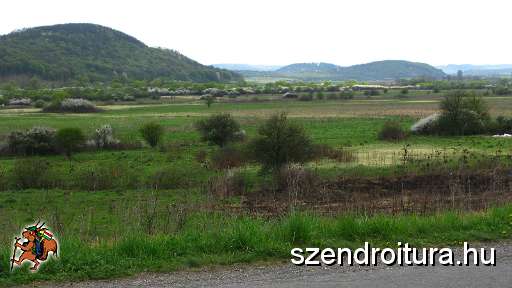 6-vitezlo-2011-barta-laszlo-56.JPG