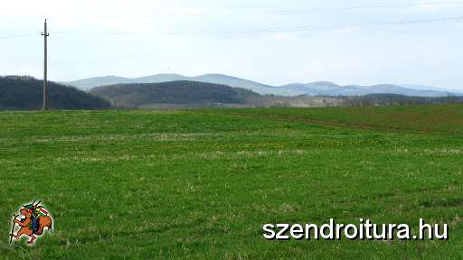 6-vitezlo-2011-barta-laszlo-61.JPG