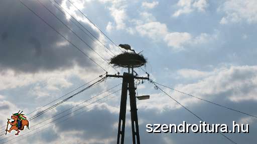 6-vitezlo-2011-barta-laszlo-67.JPG
