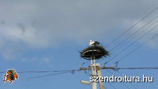 6-vitezlo-2011-barta-laszlo-68.JPG