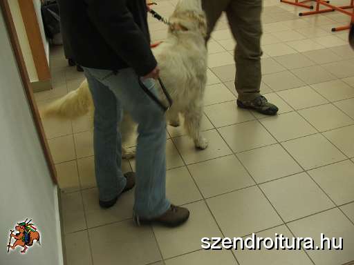 6-vitezlo-2011-ernesto-14.JPG