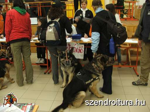 6-vitezlo-2011-ernesto-15.JPG