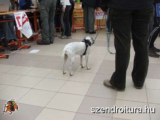 6-vitezlo-2011-ernesto-47.JPG