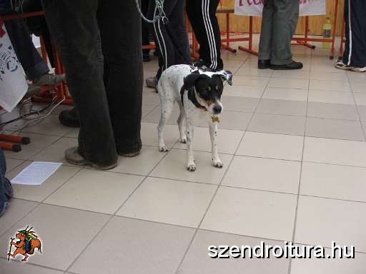 6-vitezlo-2011-ernesto-48.JPG