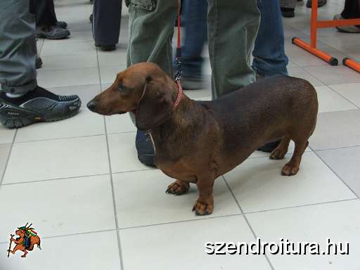 6-vitezlo-2011-ernesto-54.JPG