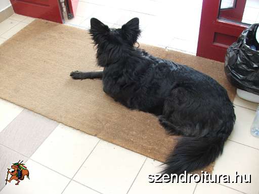 6-vitezlo-2011-ernesto-80.JPG