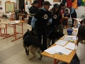 6-vitezlo-2011-ernesto-13