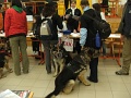 6-vitezlo-2011-ernesto-15