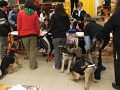 6-vitezlo-2011-ernesto-17