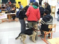6-vitezlo-2011-ernesto-20