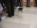 6-vitezlo-2011-ernesto-48