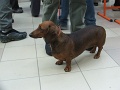 6-vitezlo-2011-ernesto-54