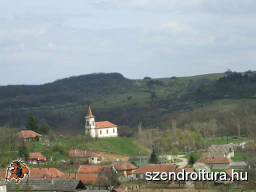 Beregi-Judit-5-Nem-Abod-nem-fatornyos.jpg