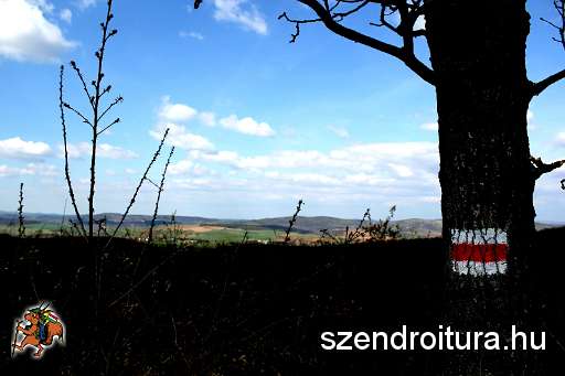 Csik-Abel-the-panorama-with-a-tree.JPG