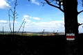 Csik-Abel-the-panorama-with-a-tree