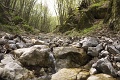Maurer-Klimes-akos-3-gorgeteg
