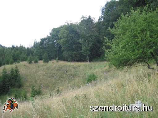 05-bukk-fensik-tt-25km.jpg