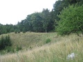 05-bukk-fensik-tt-25km