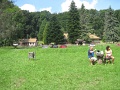 06-bukk-fensik-tt-25km