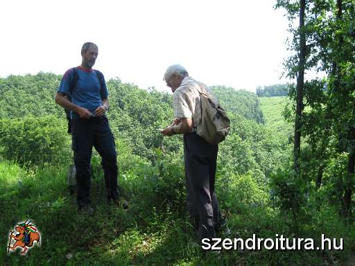 002-kohaszok-utja-tt-25km.jpg