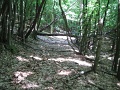 010-kohaszok-utja-tt-25km