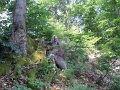 015-kohaszok-utja-tt-25km