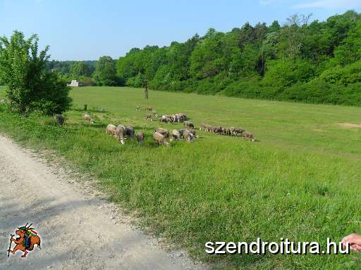 06-kuruc-portyak-tt-10km.JPG