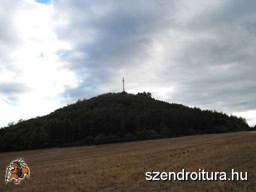 2-Less-Nandor-2011-10.jpg