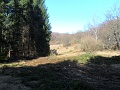 03-nepek-tavasza-2011-tt-35km