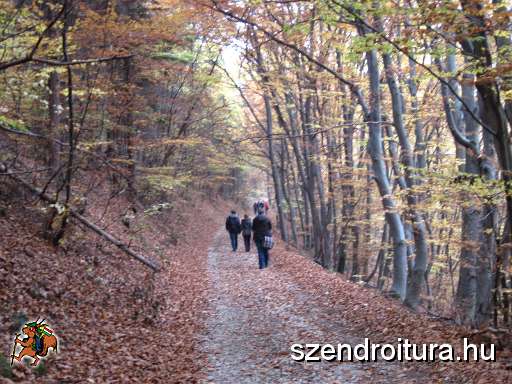 5-oszi-foiskolas-tura.jpg