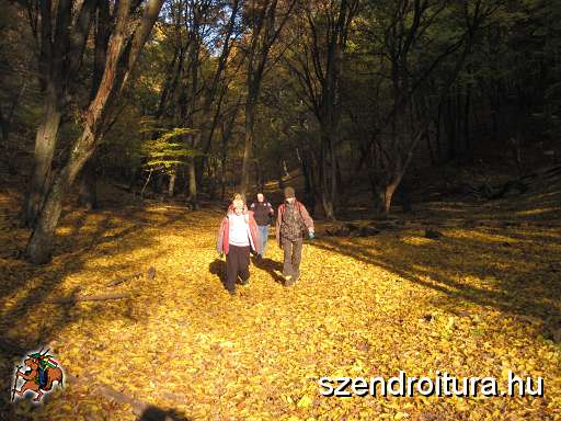 7-oszi-foiskolas-tura.jpg