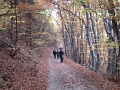 5-oszi-foiskolas-tura