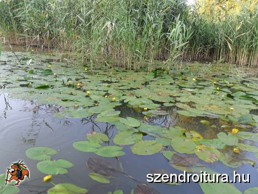 073-rakaca-tavi-hetvege.JPG