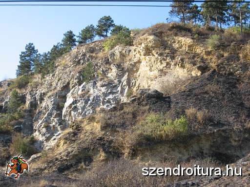 20-szkgy-2011.jpg