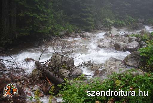 020-szlovakia-het.JPG