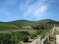 01-tokaji-bortura-tt-25km