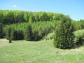 04-XXVII-bukk-tt-25km