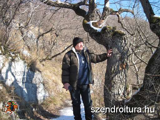 12_ev_120_km_Hollostetorol_Lillafuredre_3.jpg